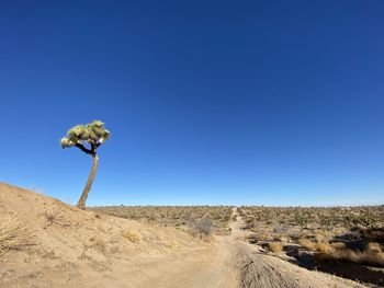 Scenic view of desert land against clear blue sky