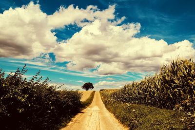 Road amidst plants on field against sky