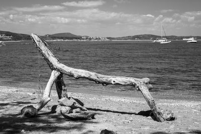 Driftwood on beach by sea against sky