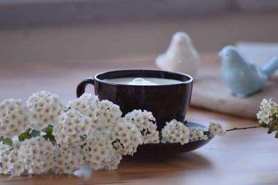 Close-up of white flowers by cup on table