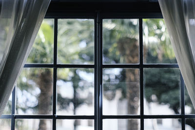 Close-up of trees seen through window