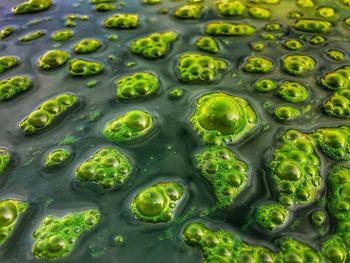 Full frame shot of water
