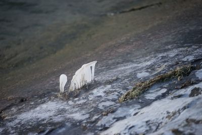 Close-up view of water