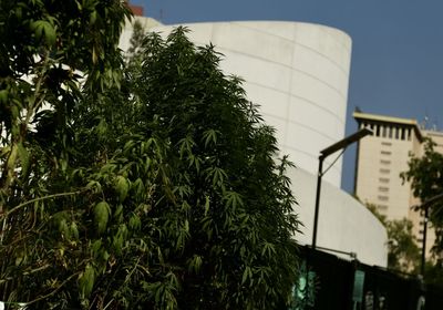 Low angle view of building against sky