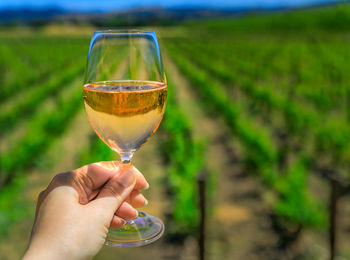 Cropped hand holding wineglass