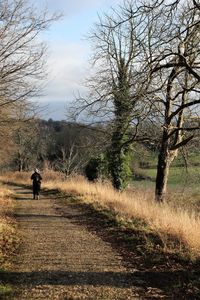 Woman walking on track amidst trees against sky