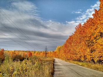 Scenic view of field against sky during autumn