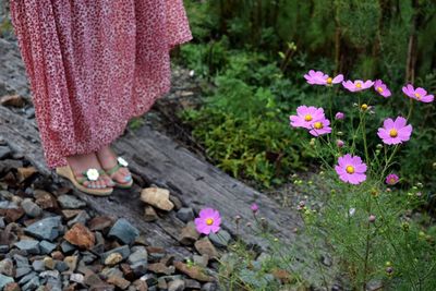 Low section of woman standing on pink flowers