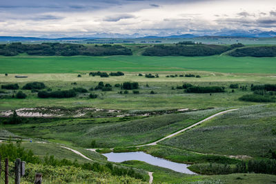 Scenic view of agricultural field against sky