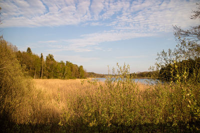 Scenic view of lake against sky