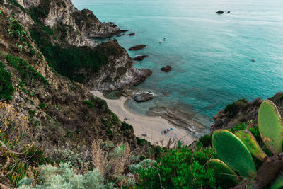 High angle view of rocks on beach