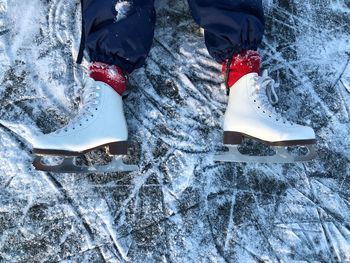 Low section of person on snow covered land