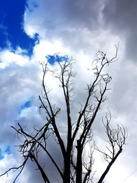 Low angle view of bare tree against sky