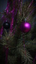 Close-up of illuminated christmas tree at night