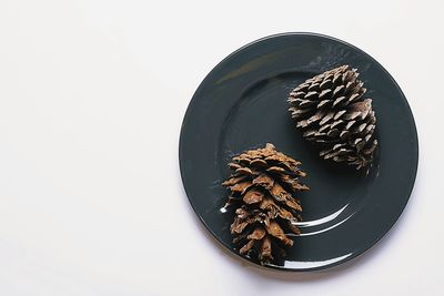 High angle view of pine cone in plate