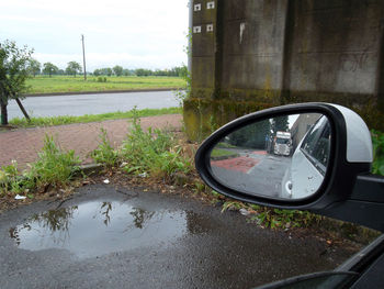 Reflection of trees in side-view mirror