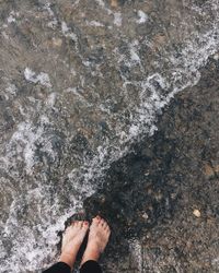 Low section of woman standing on beach