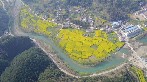 High angle view of agricultural field