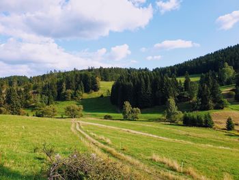 Scenic view of trees on field against sky