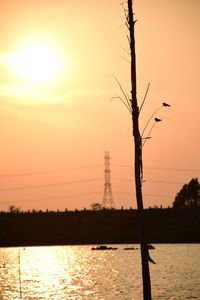 Silhouette bare tree by lake against orange sky