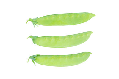 Directly above shot of green leaf on white background