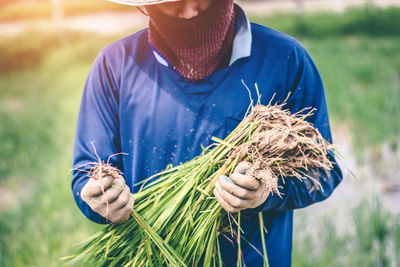 Midsection of man holding plants while standing on field