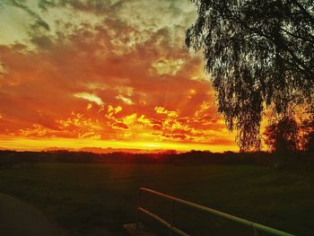 Scenic view of tree against sky during sunset