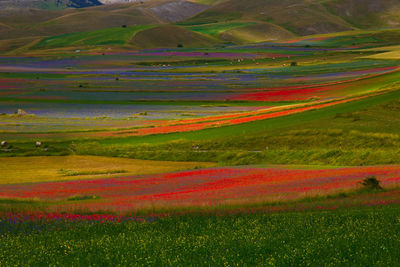 Scenic view of field against mountain