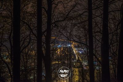 Low angle view of trees against sky at night