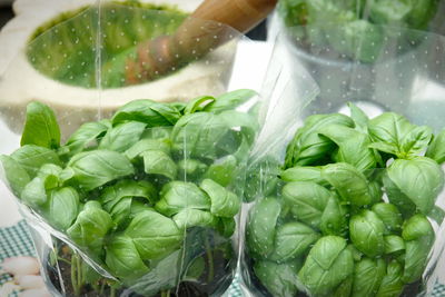 Close-up of hand holding vegetables