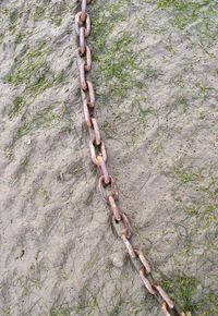 High angle view of chain amidst trees in forest