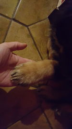 Close-up of person holding hand