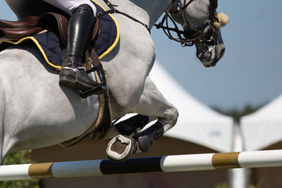 Horse jumping, equestrian sports themed photo.