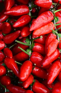 Full frame of tomatoes