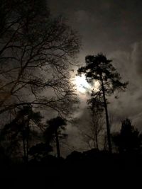 Low angle view of silhouette trees against sky at night