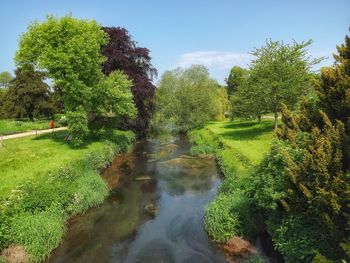 Scenic view of green landscape against sky