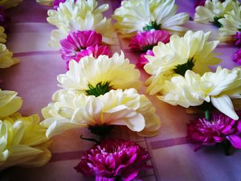 Close-up of purple flowers on table