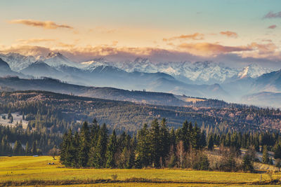 Tatras mountains - view from lapszanka pass