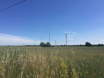 Scenic view of field against blue sky