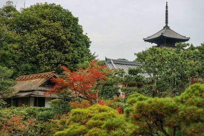 Low angle view of building