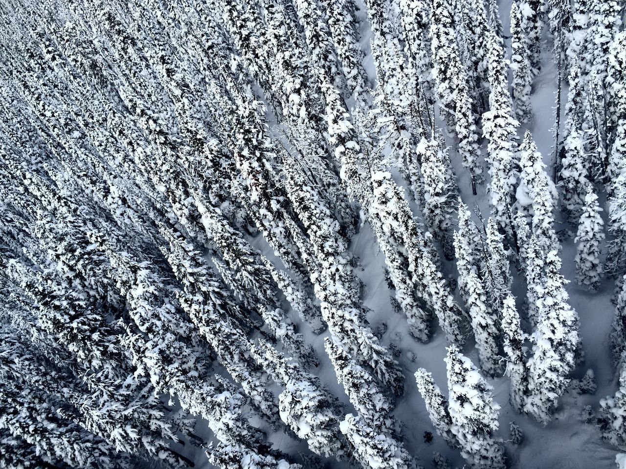 full frame, backgrounds, water, cold temperature, nature, winter, beauty in nature, high angle view, pattern, close-up, natural pattern, snow, ice, tranquility, season, day, wet, no people, white color, outdoors