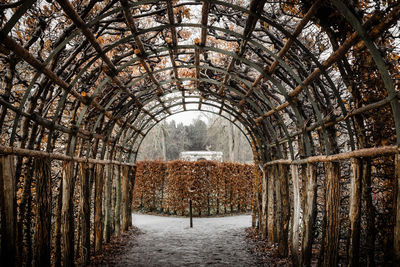 Corridor in greenhouse