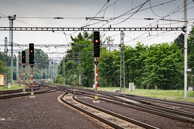 Empty railroad tracks by trees