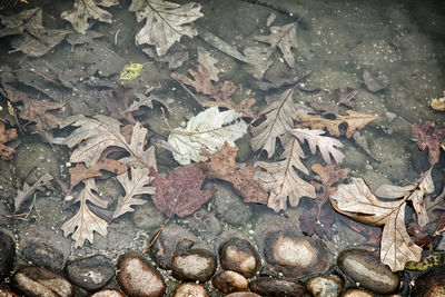 High angle view of water