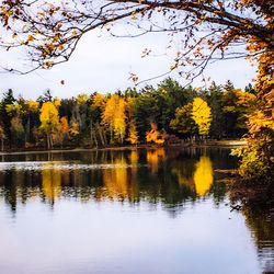 Scenic view of lake by trees against sky