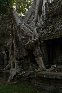 Old statue against trees and building