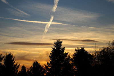 Silhouette trees against cloudy sky during sunset