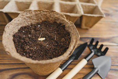 Planting seeds into peat pot on old grunge wooden table.. home gardening. top view. selective focus.