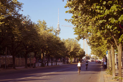 People walking on road along trees