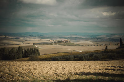 Scenic view of agricultural field against sky